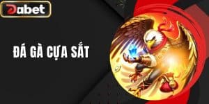 Đá Gà Cựa Sắt DABET - Đấu Trường Rực Lửa Chọi Gà 2025